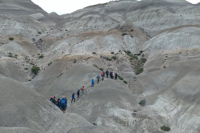 La Lioness Petrified Forest - Reaching the fossil forest
