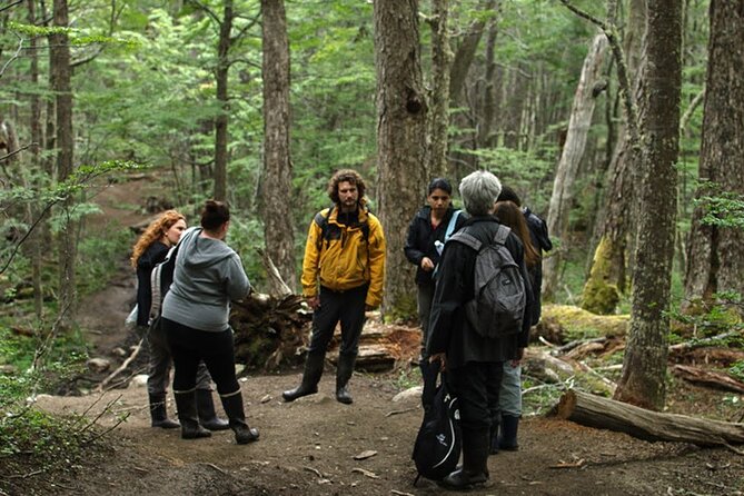 Laguna Esmeralda Trekking Adventure with Lunch - Who will enjoy this hike most
