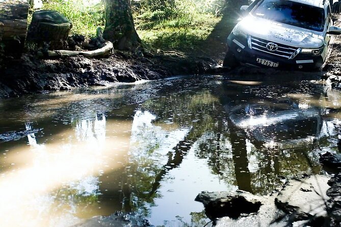 Lakes District 4x4 Full-Day Tour with Lunch from Ushuaia - Following Lake Escondido Into the Forest