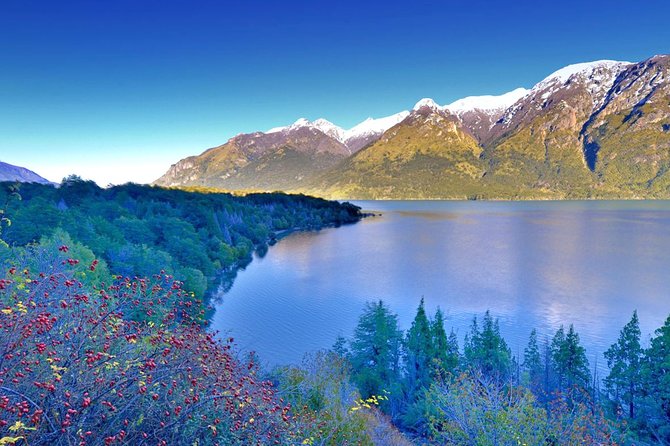 Los Alerces National Park, Esquel - Full day - Key points before you book