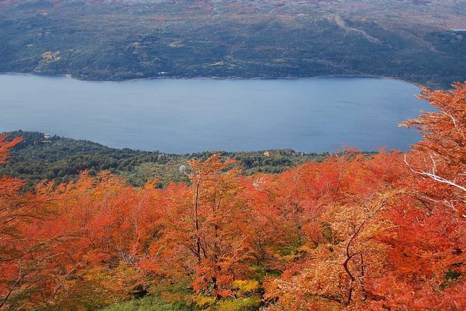 Los Alerces National Park, Esquel - Full day - Cave paintings add a human story