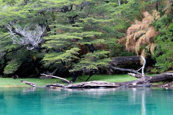 Los Alerces National Park, Esquel - Full day - Cost, extra fees, and what the price means