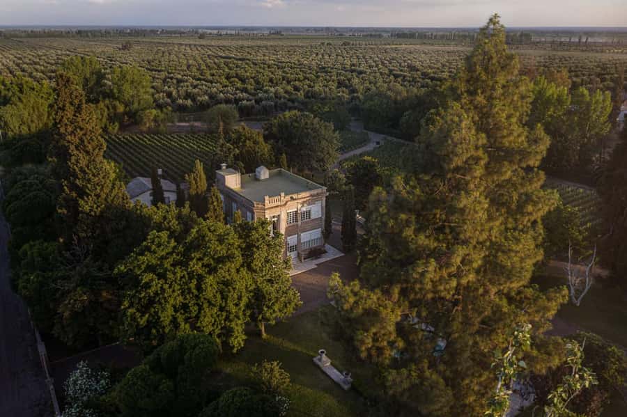 Luigi Bosca Winery Tour with Wine Tasting and Lunch - Why Finca El Paraíso makes a good Mendoza outing