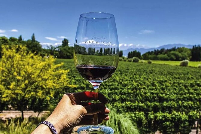 Luján de Cuyo Gourmet Wine Tour - What kind of traveler should book it