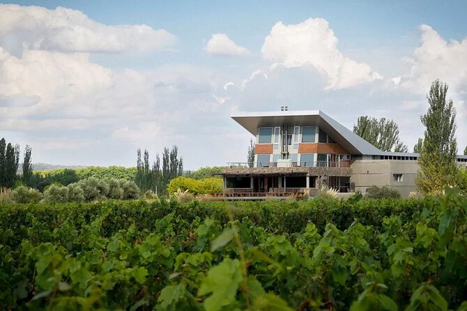 Luján de Cuyo Gourmet Wine Tour - The private drive from Mendoza
