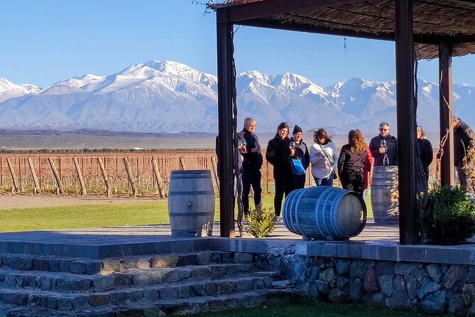 Luján de Cuyo: I met the Tradition, Innovation and Roast with wines - Altieri Wines and the Vinorum cellar