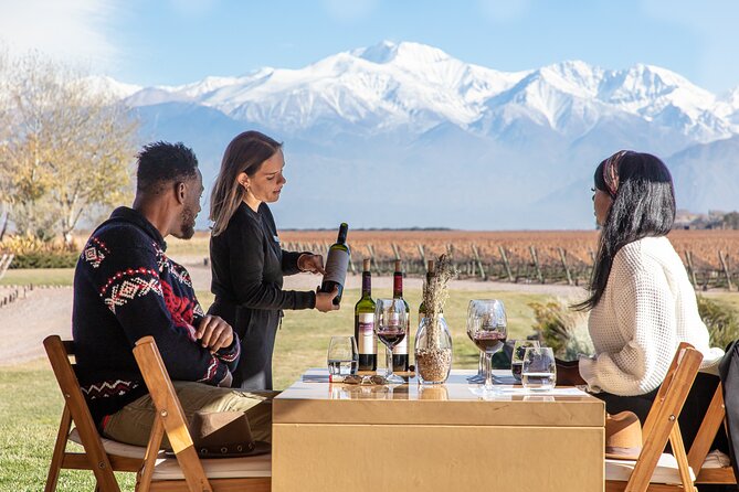 Lujan Deluxe - Full day - Premium Wine Tour with Gourmet Lunch - Key points to know before booking