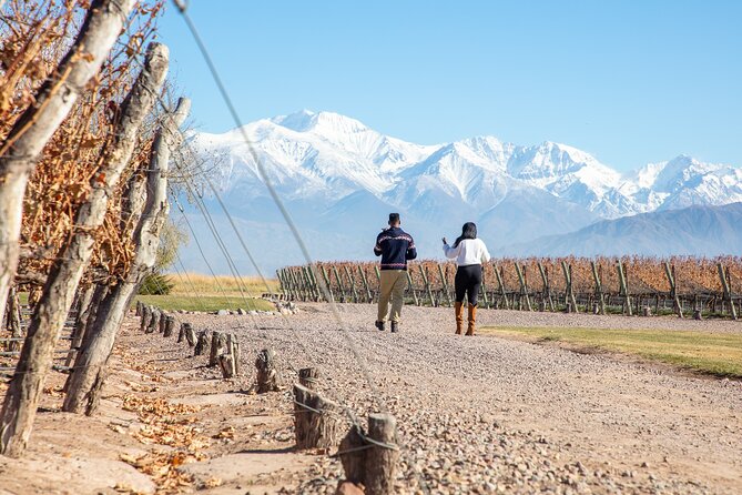 Lujan Deluxe - Full day - Premium Wine Tour with Gourmet Lunch - Why Lujan works well for a full-day wine tour