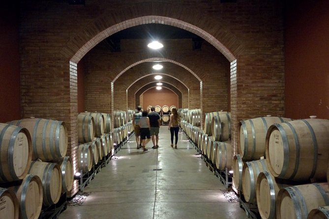 Lujan & Maipu - Private - The Best WineTour & Lunch - Key points before you book