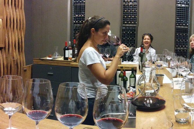 Lujan & Maipu - Private - The Best WineTour & Lunch - Private transport is the practical advantage
