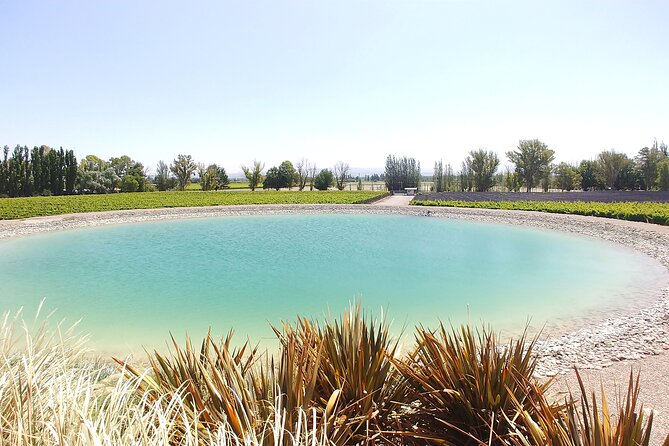 Lujan & Maipu - Private - The Best WineTour & Lunch - Who will enjoy this Mendoza wine tour?