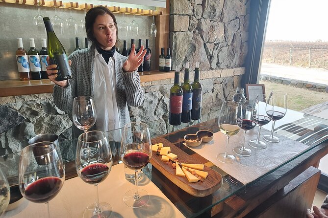 Luján Wine Tasting Guided Experience with Lunch - Why This Mendoza Wine Day Works