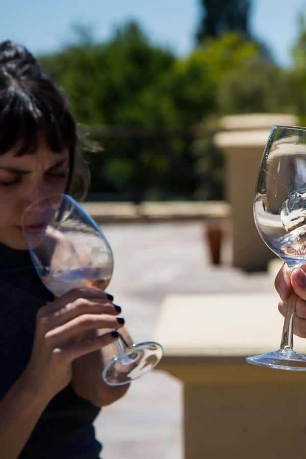 Luxury Wine Tasting in Uco Valley/ Boutique Wineries & Asado - Tupungato Lunch: Asado, Wine, and Open Views