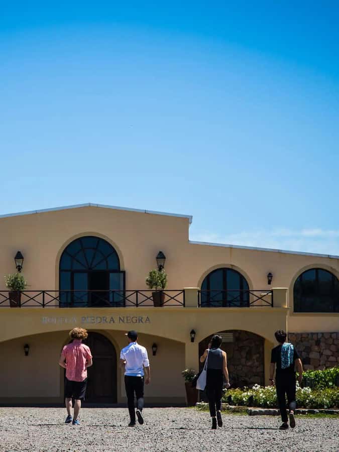 Luxury Wine Tasting in Uco Valley/ Boutique Wineries & Asado - Small Groups, Guides, and the Pace of the Day