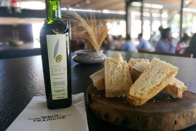 Maipú: Historical Vineyards, Premium Olive and Vigilant Experience - Booking and Cancellation Advice