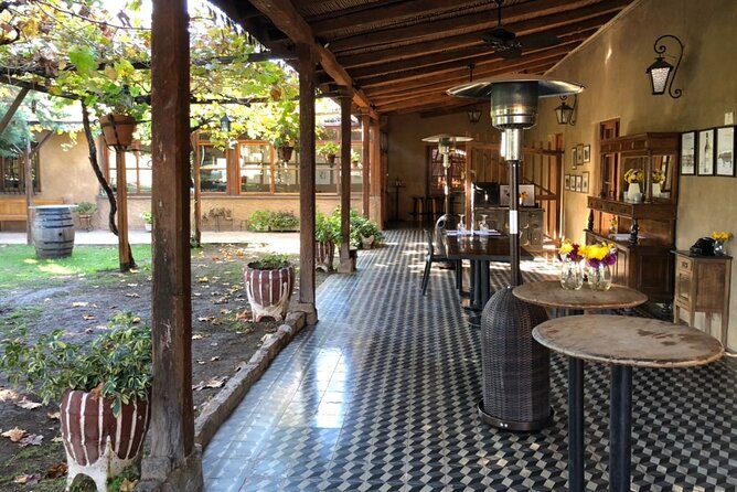 Maipú Wine and Olive Oil Tour - Olive oil at a small local factory