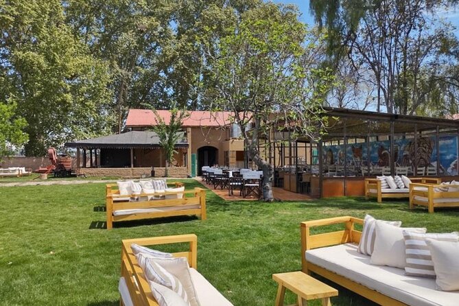Maipu Wine Tour: 3 Wineries and Olive Oil Factory - Key points at a glance