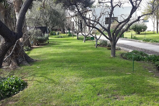 Maipu Wine Tour: 3 Wineries and Olive Oil Factory - Why Maipu makes a good first wine day
