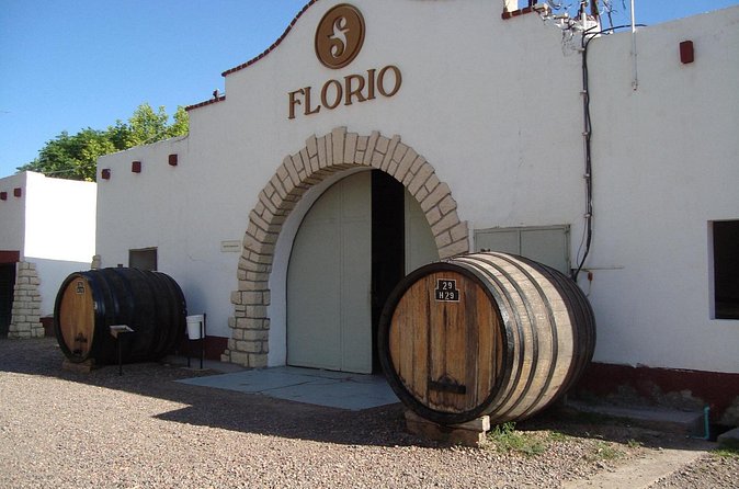 Maipu Wine Tour: 3 Wineries and Olive Oil Factory - Andes views and the feel of Mendoza wine country