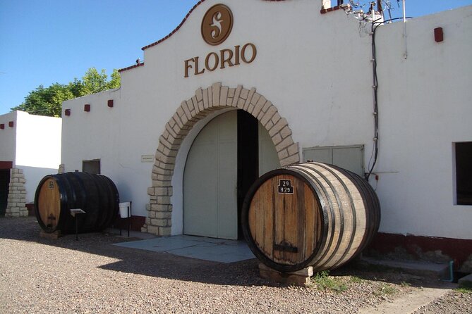 Maipu Wine Tour: 3 Wineries and Olive Oil Factory - The afternoon pickup from your Mendoza hotel