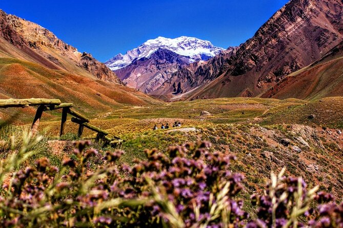 Majestic High Mountain in the Heart of the Andes full day tour - Aconcagua supplies the tour’s headline view