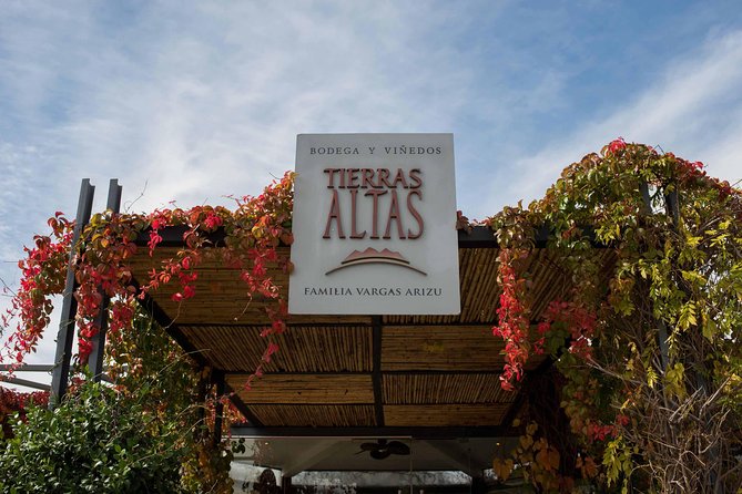 Malbec Experience in Bodega Tierras Altas - Starting among the vineyards