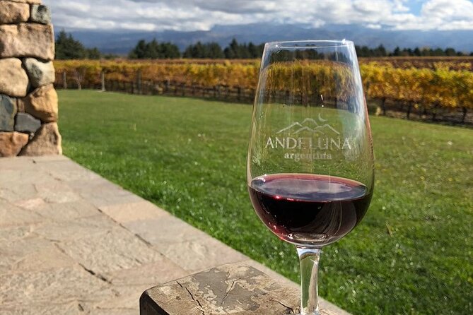 Malbec Madness Tour - Why this Mendoza tour is about more than Malbec