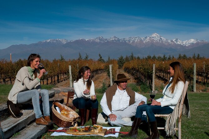 Malbec & Mountain Uco Valley Private Wine Tour with Gourmet Lunch - Key points at a glance