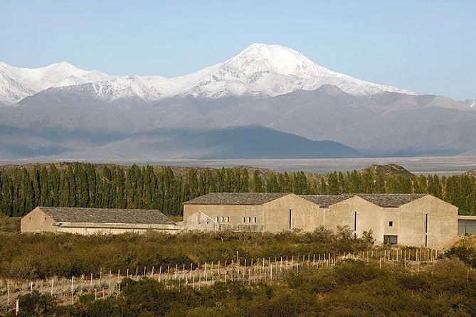 Malbec & Mountain Uco Valley Private Wine Tour with Gourmet Lunch - What to wear and what to expect