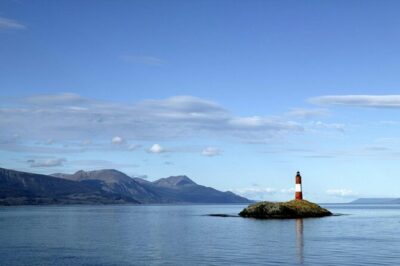 Martillo Island: Boat Trip to the Penguin Colony & Beagle Channel