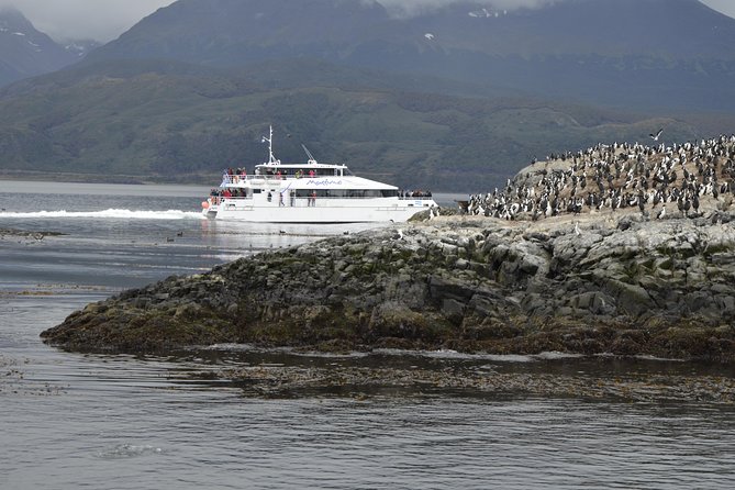 Martillo Island: Boat Trip to the Penguin Colony & Beagle Channel - What five hours on the water really feels like