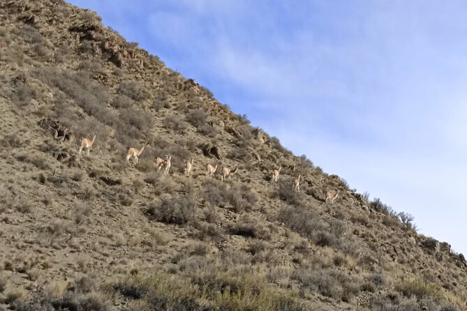 Meet Uspallata. Private 4x4 Adventure Day Tour - Cerro Siete Colores and the first big views