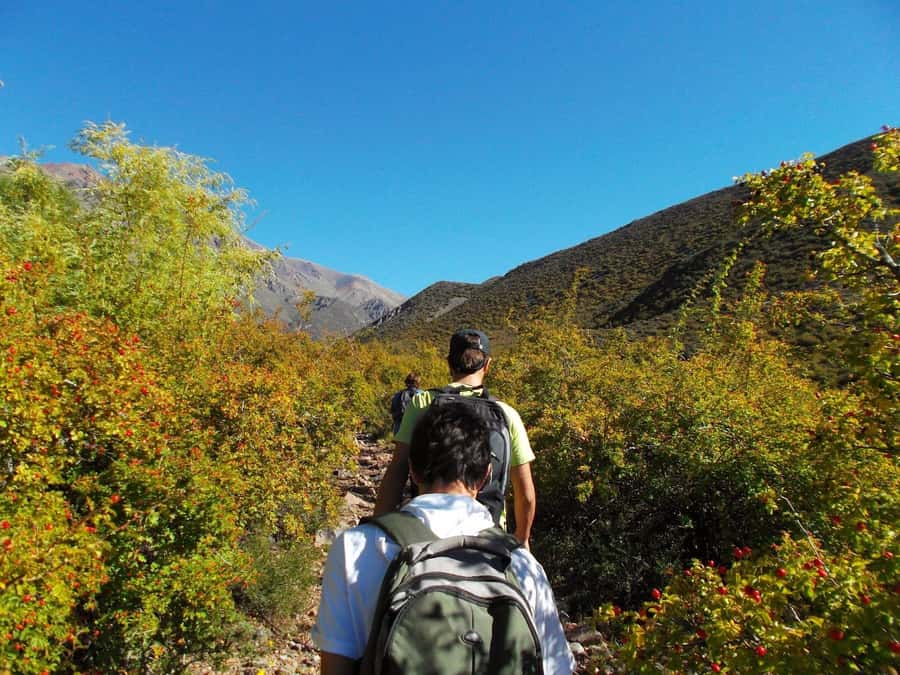 Mendoza: 4-Hour Mountain Trekking With Lunch - Reaching the 2,212-meter summit