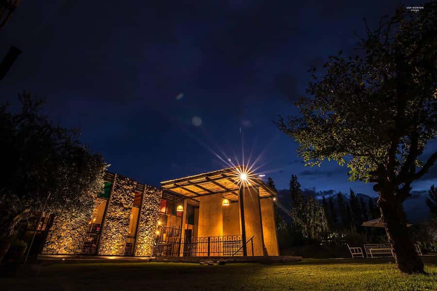 Mendoza: El Enemigo and Casa Vigil Wine Tour - Key points at a glance