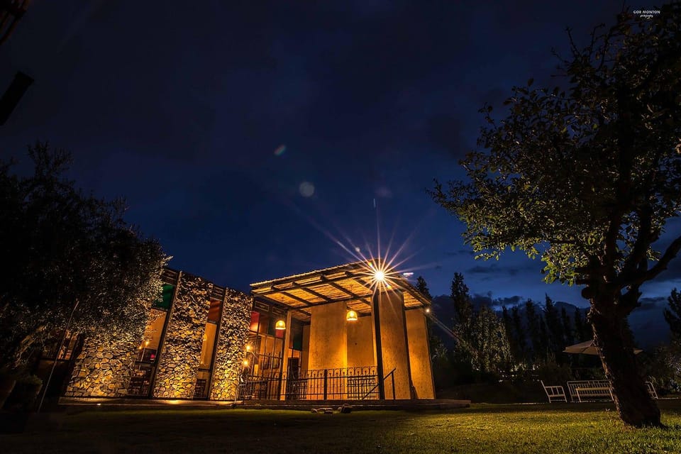Mendoza: El Enemigo and Casa Vigil Wine Tour - Understanding El Enemigo wine in context