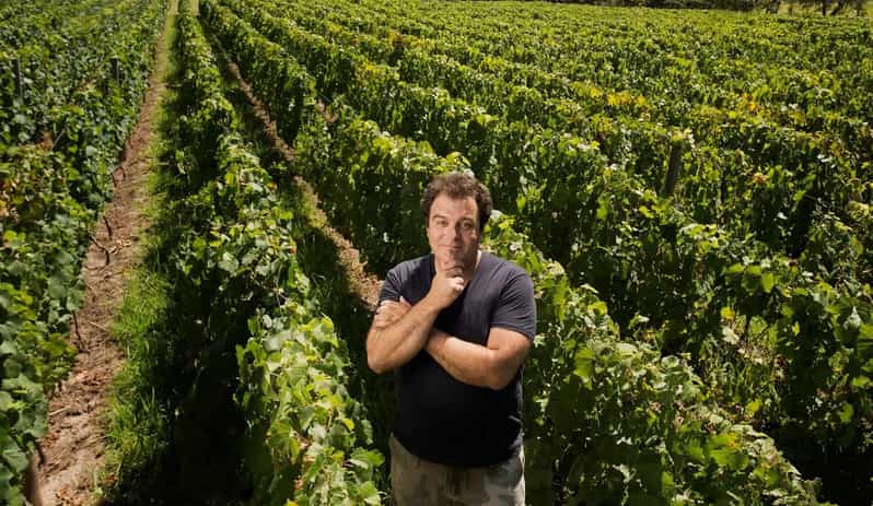 Mendoza: El Enemigo and Casa Vigil Wine Tour - Practical tips before you reserve