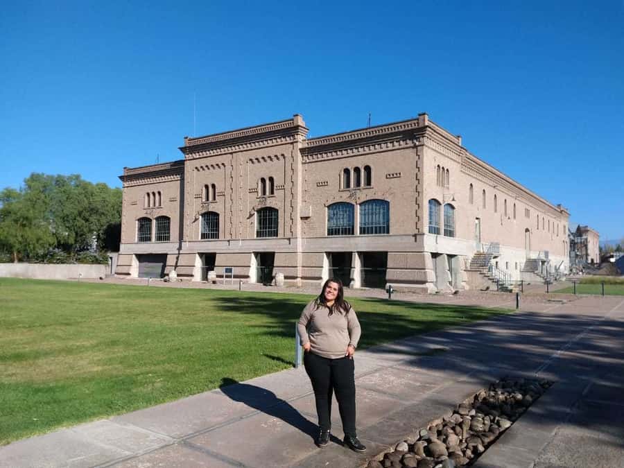 Mendoza: Full Day Wine Tour with 3 Course Lunch - Key details to know before booking