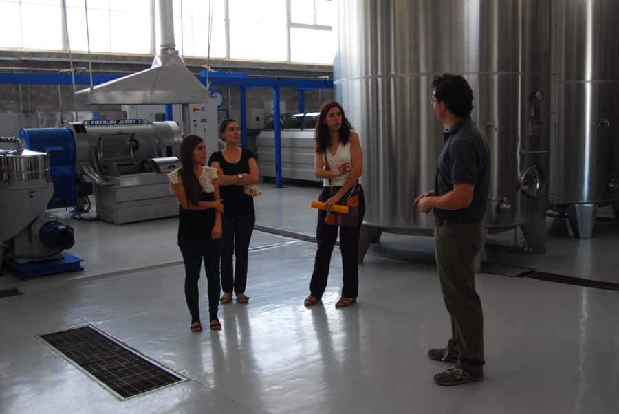 Mendoza: Full Day Wine Tour with 3 Course Lunch - The three-course lunch is a real part of the value