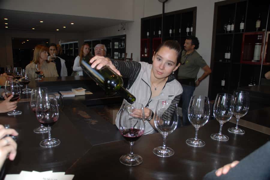 Mendoza: Full Day Wine Tour with 3 Course Lunch - Transport, guides, and the shape of the day
