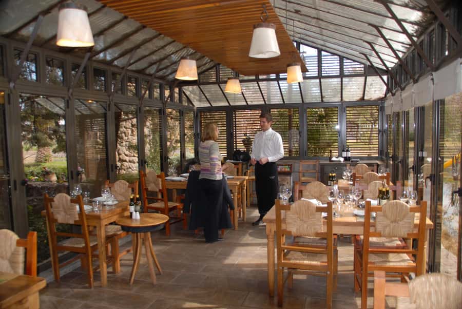 Mendoza: Full Day Wine Tour with 3 Course Lunch - Is $153 a fair price?