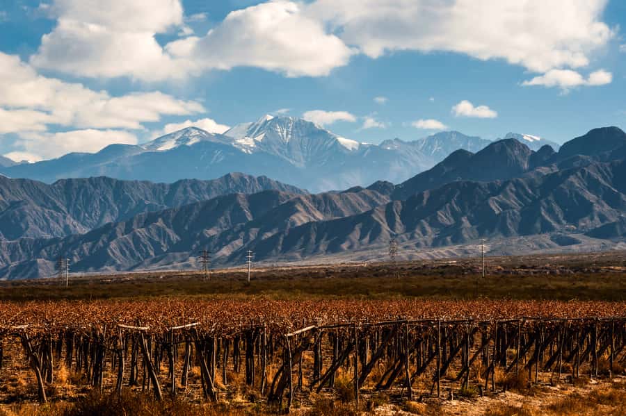 Mendoza: Full Day Wine Tour with 3 Course Lunch - Choosing between Luján de Cuyo, Maipú, and Valle de Uco