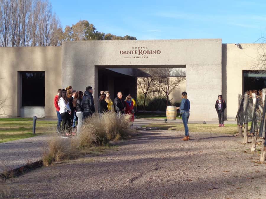 Mendoza: Half-Day Wine Tour with Tastings - Why Mendoza’s Vineyards Exist in a Desert