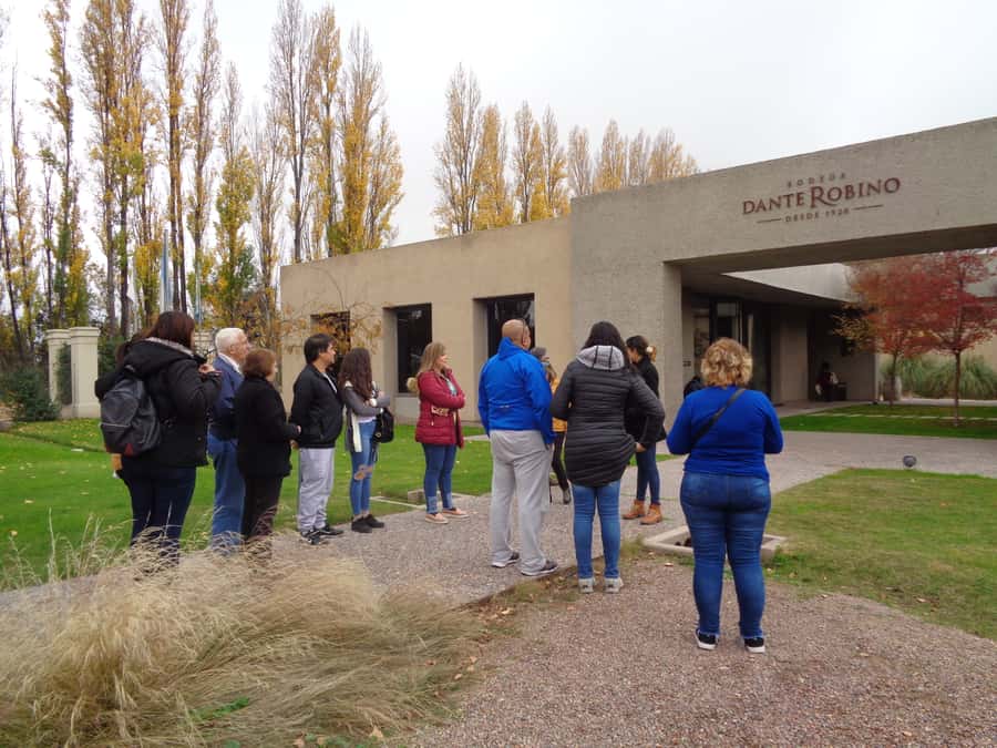 Mendoza: Half-Day Wine Tour with Tastings - The First Winery: Start With How Wine Is Made