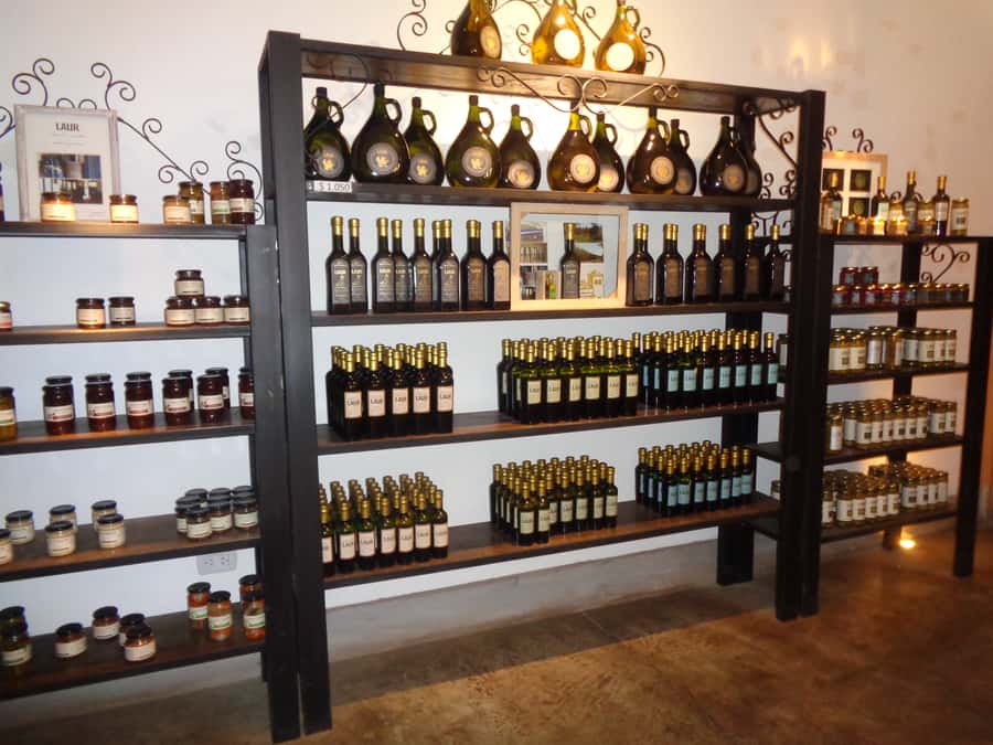 Mendoza: Half-Day Wine Tour with Tastings - The Second Winery: A Useful Contrast, But Quality Can Vary