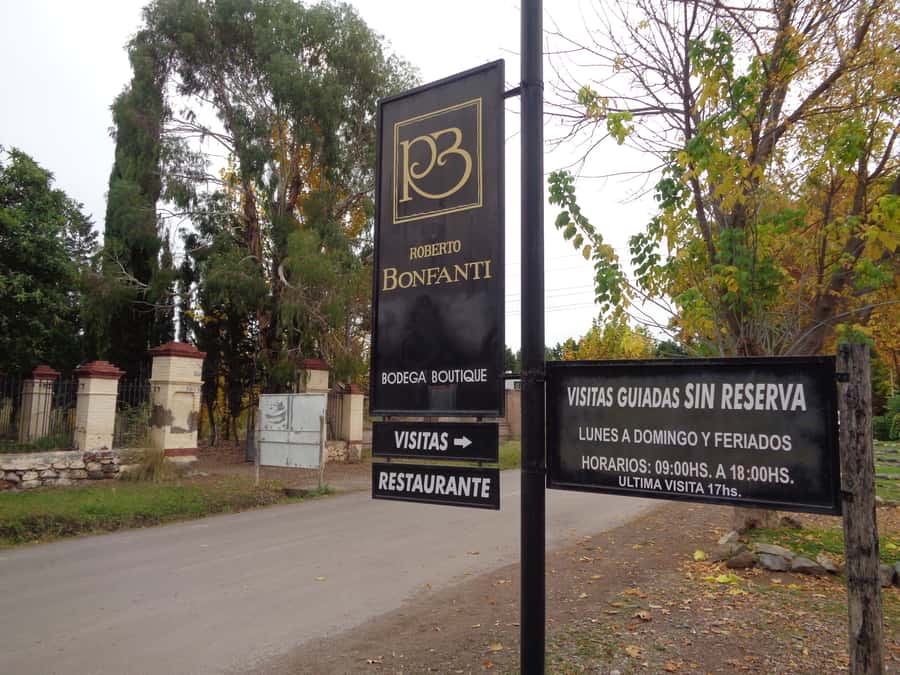 Mendoza: Half-Day Wine Tour with Tastings - Transport, Languages, and Group Pace