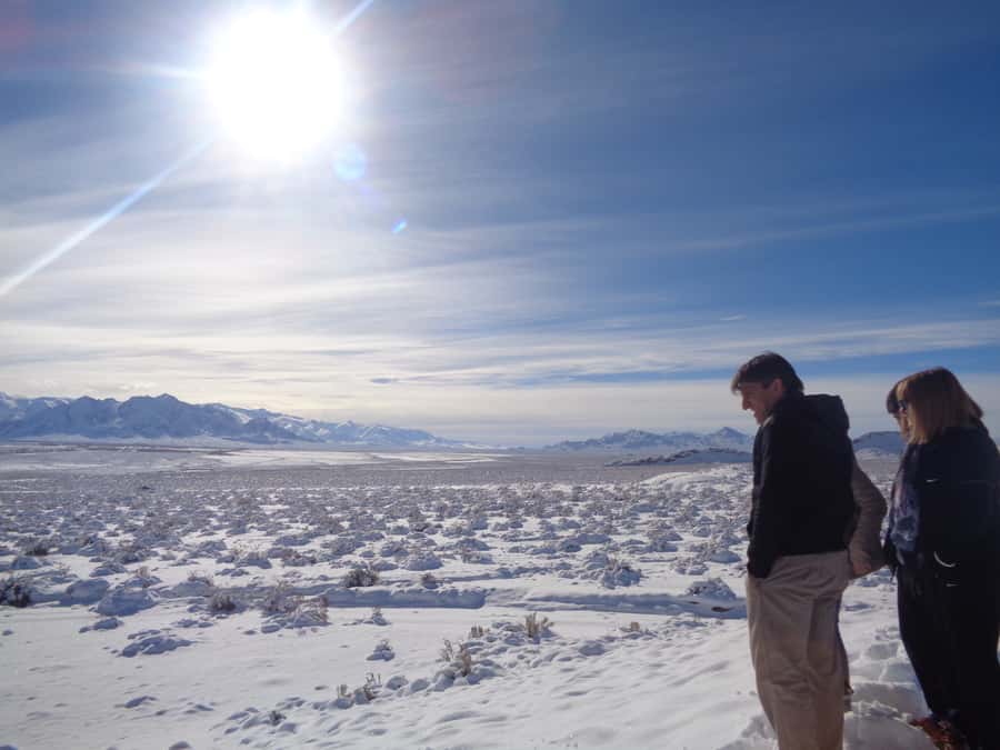 Mendoza: High Andes Mountain Private Guided Tour - Puente del Inca and its mineral colors