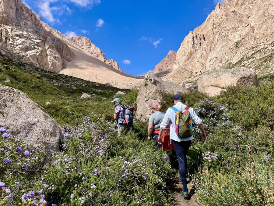 Mendoza: Hiking, Meditation & Yoga in the Andes with Lunch - What this Andes day is really about