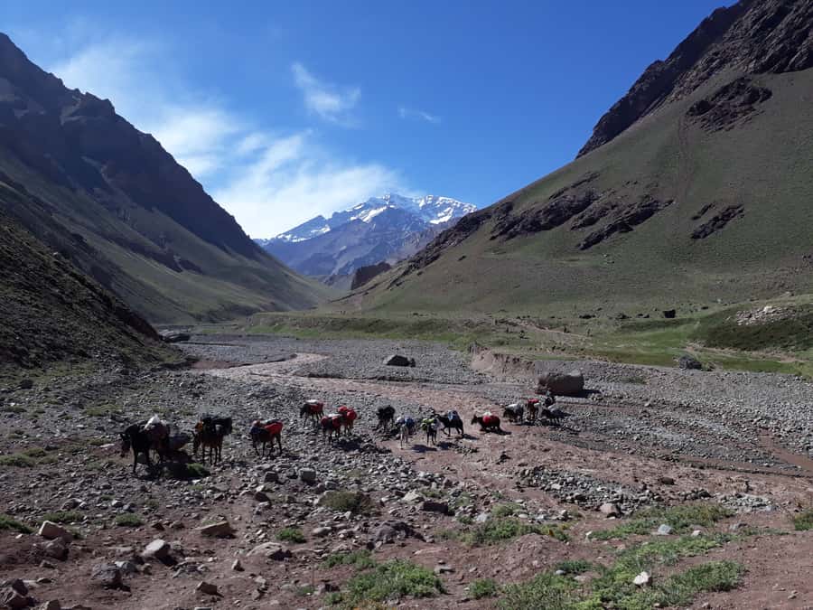 Mendoza: Mt. Aconcagua Confluencia Camp Trekking - Arriving at Aconcagua Provincial Park