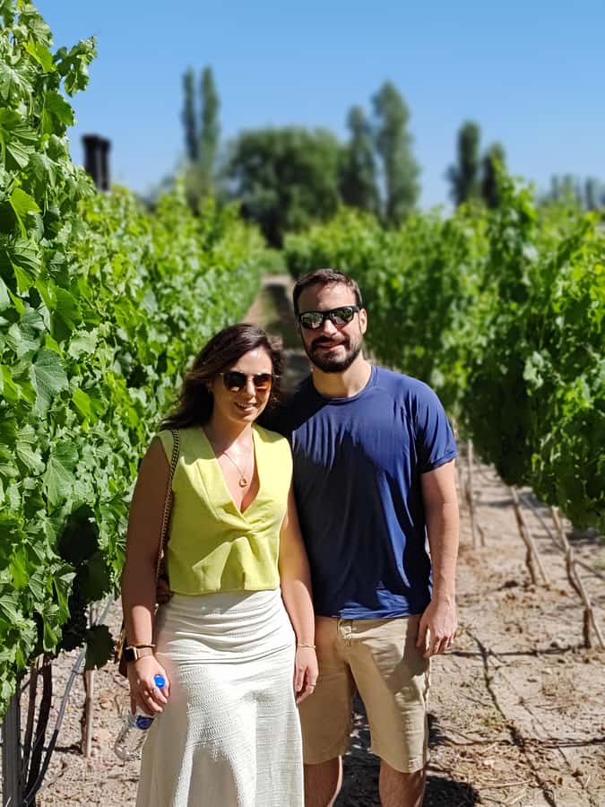 Mendoza's top wineries ! All Inclusive Private Tours! - Key points at a glance