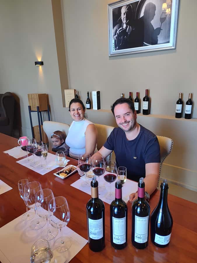 Mendoza's top wineries ! All Inclusive Private Tours! - A nine-hour day built around three wineries